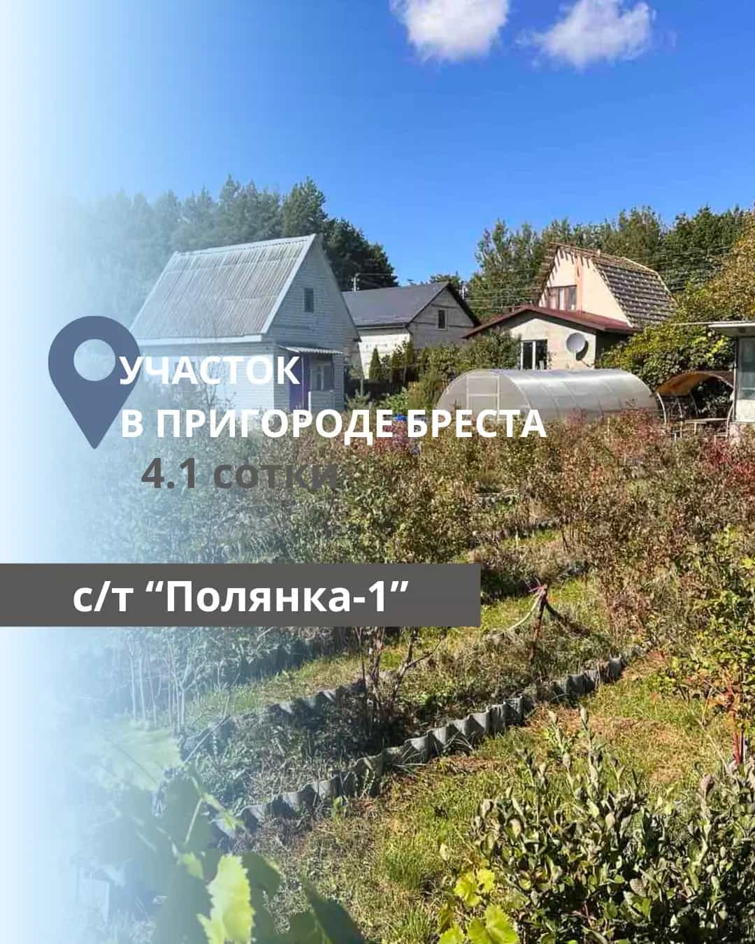 Беларусь, Брестский район, Мотыкальский сельсовет, СТ Полянка-1, 20