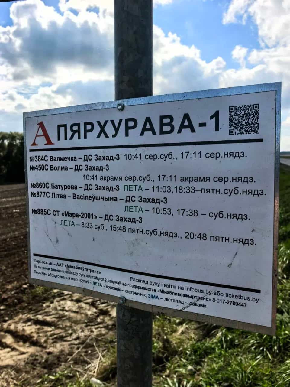 Беларусь, Минская область, Дзержинский район, Демидовичский сельсовет, садоводческое товарищество Птичь, 80, фото 30