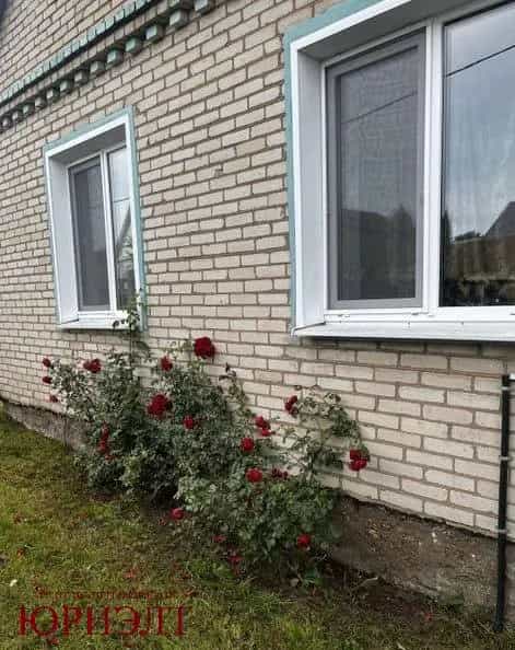 Беларусь, Витебская область, Орша, Речная улица, 18, фото 12