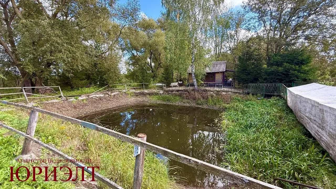 Беларусь, Минская область, Борисовский район, Веселовский сельсовет, деревня Брили, Гвардейская улица, 25А, фото 26