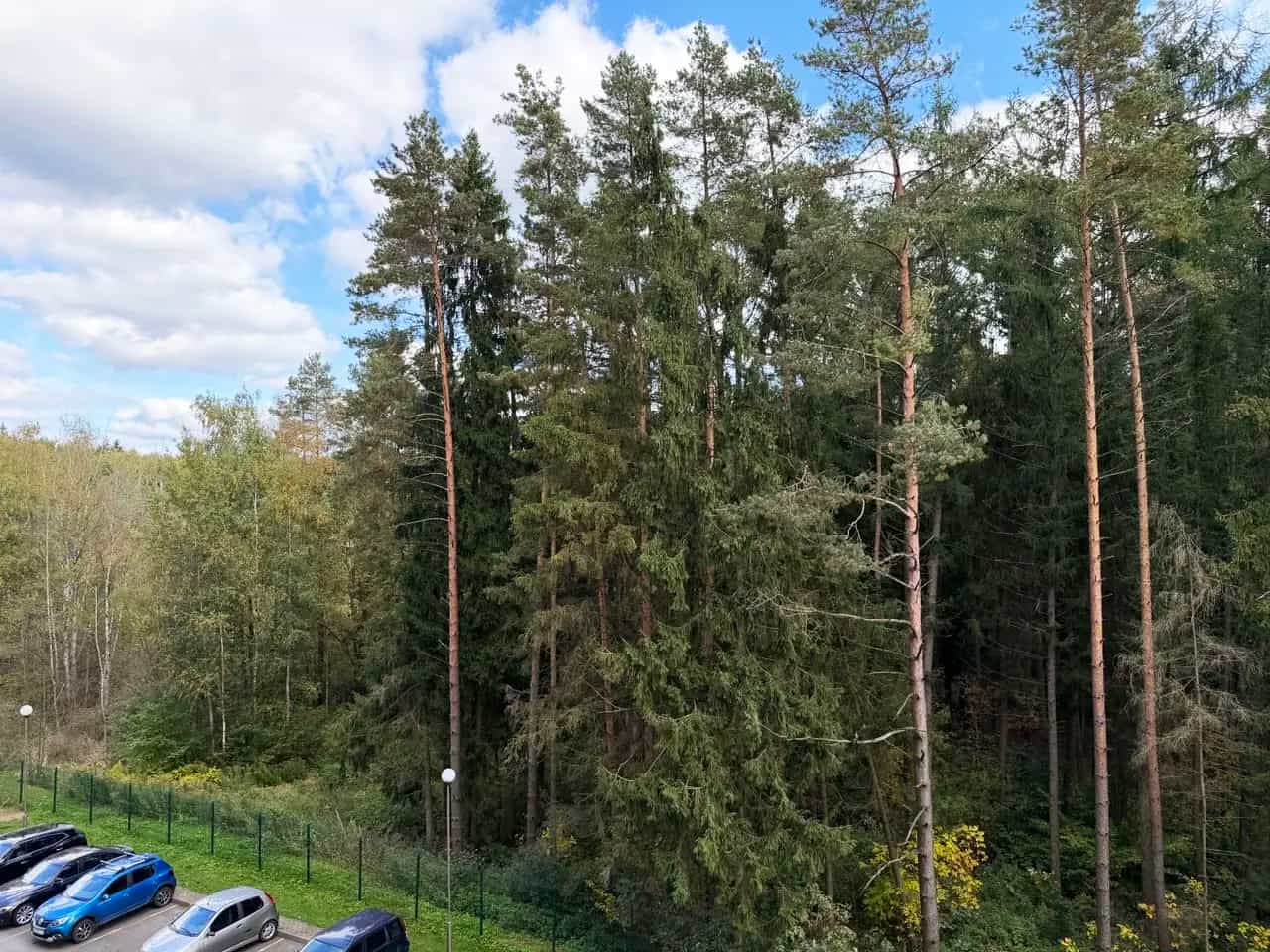 Беларусь, Минский район, Боровлянский сельсовет, агрогородок Лесной, улица Н.Н. Александрова, 17, фото 9