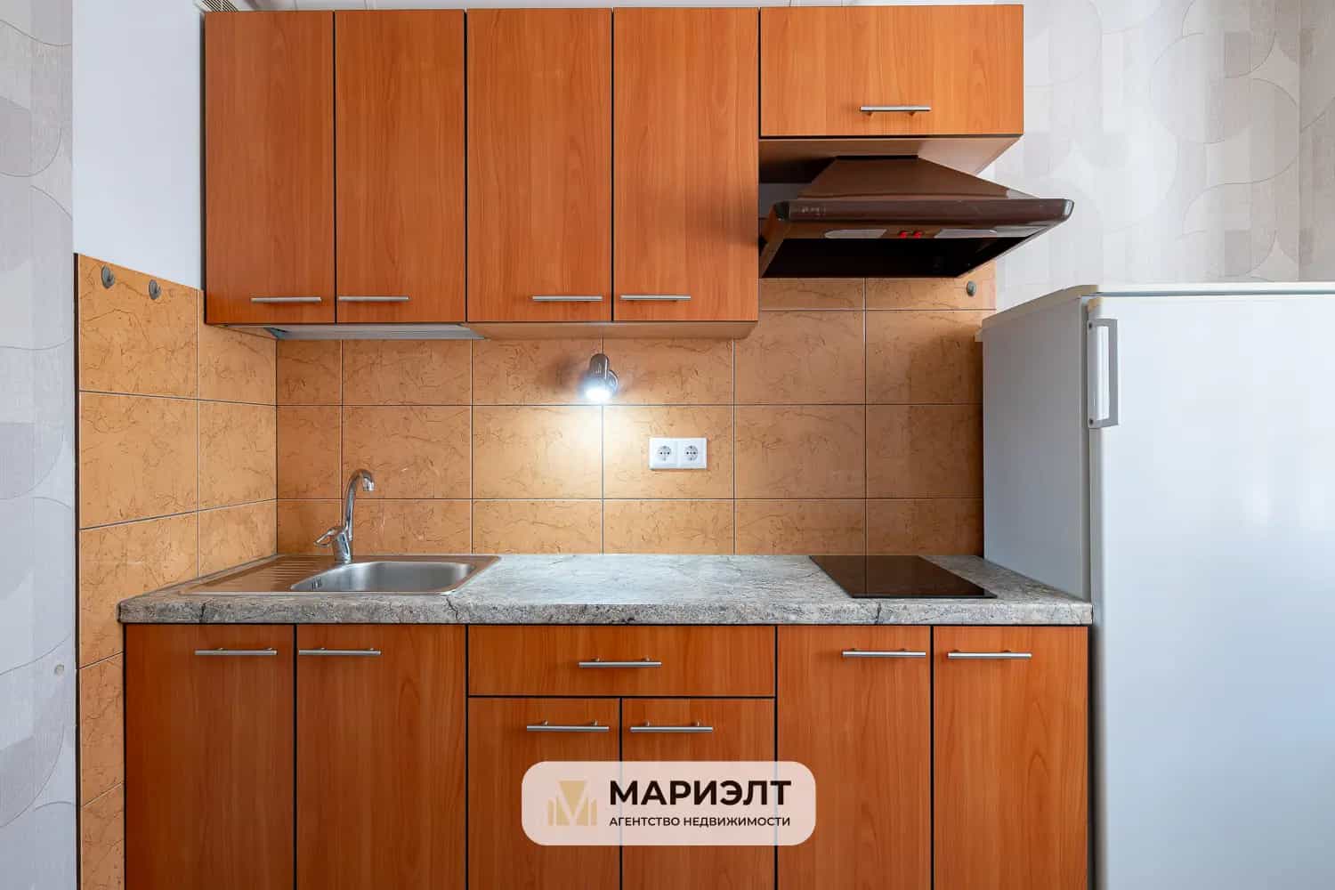 Беларусь, Минск, улица Руссиянова, 27к2, фото 2