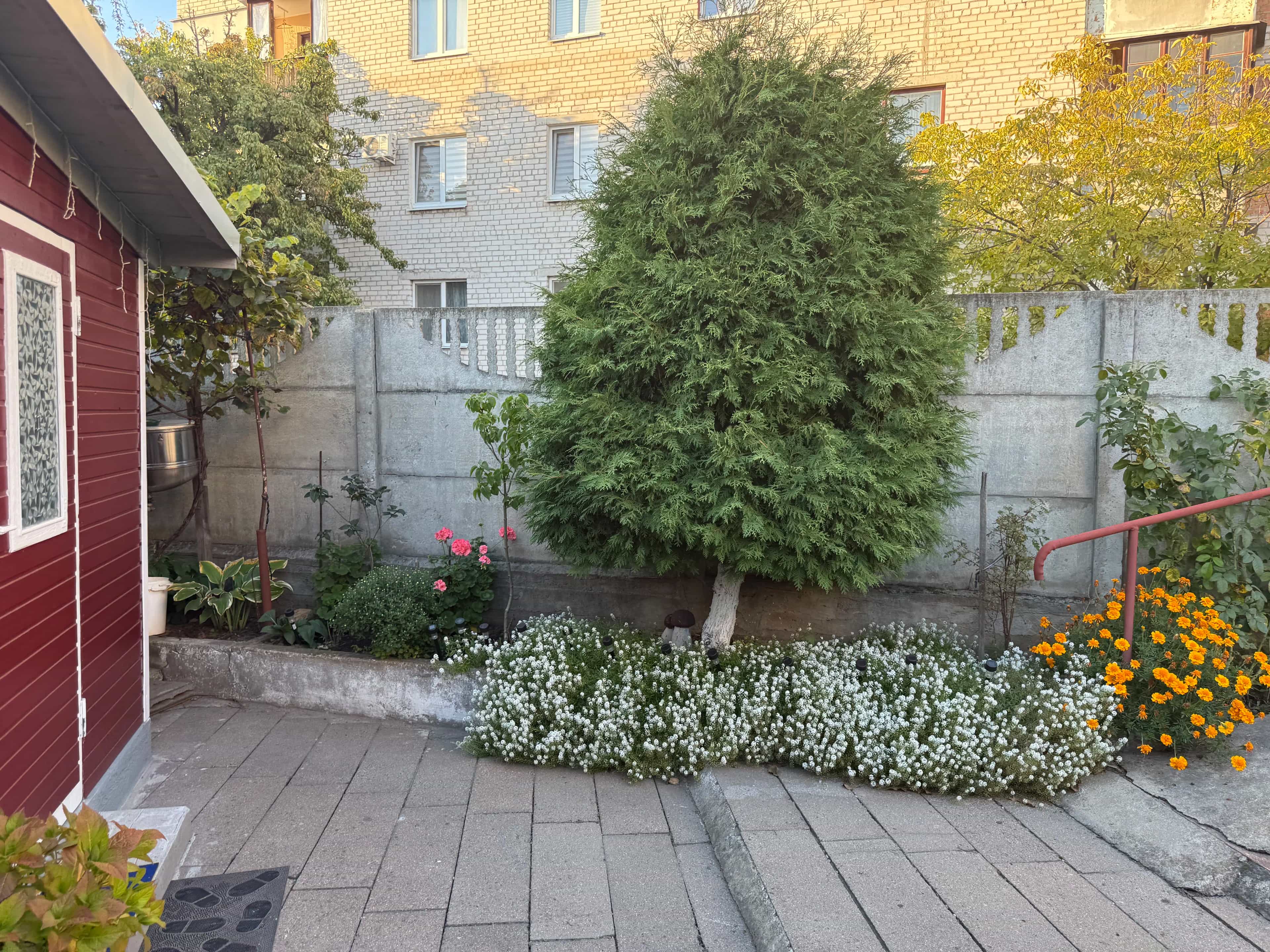 Беларусь, Брест, улица Якуба Коласа, 48, фото 19