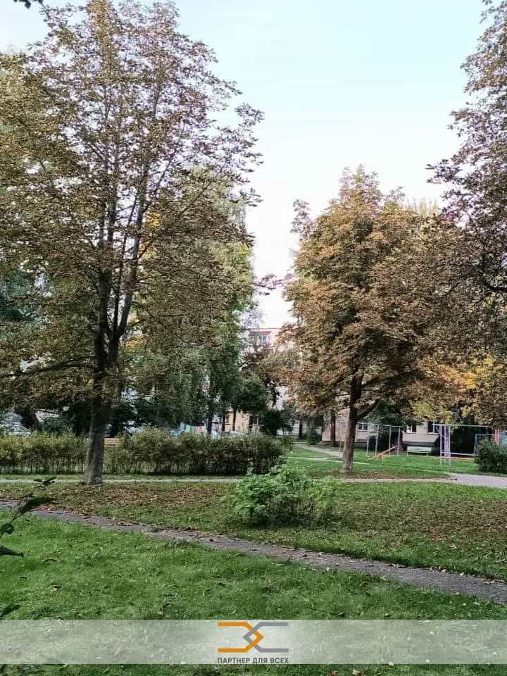 Беларусь, Минск, улица Карпова, 16, фото 13
