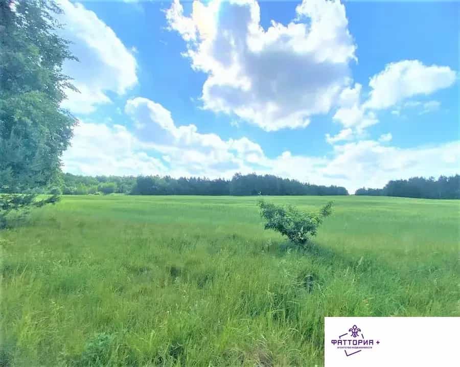 Беларусь, Гродненская область, Кореличский район, Райцевский сельсовет, деревня Ятвезь, 15Б, фото 3