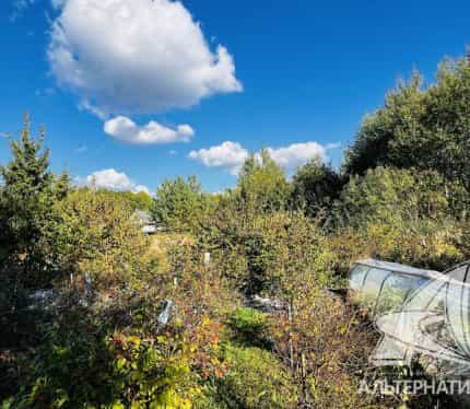 Беларусь, Брестский район, Знаменский сельсовет, СТ Ветеран-92, 140, фото 7