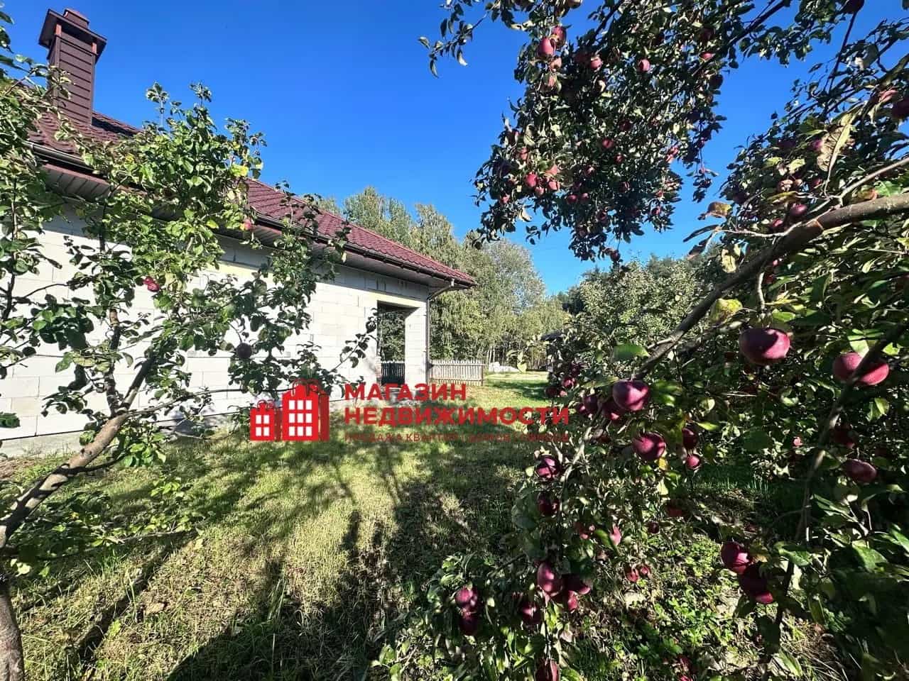 Беларусь, Гродненский район, Коптёвский сельсовет, деревня Малая Ольшанка, Лесная улица, 18, фото 8