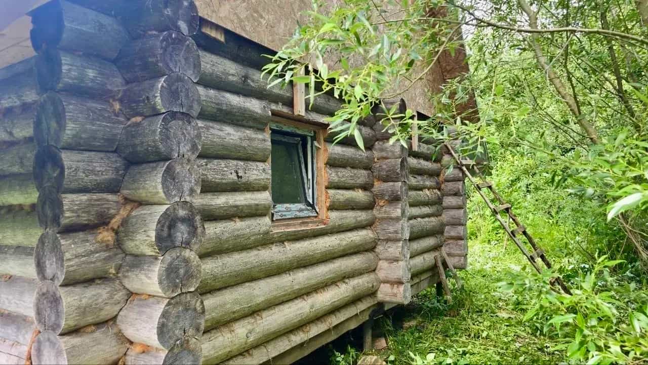 Беларусь, Витебский район, Октябрьский сельсовет, деревня Лятохи, Луческая улица, 5, фото 3