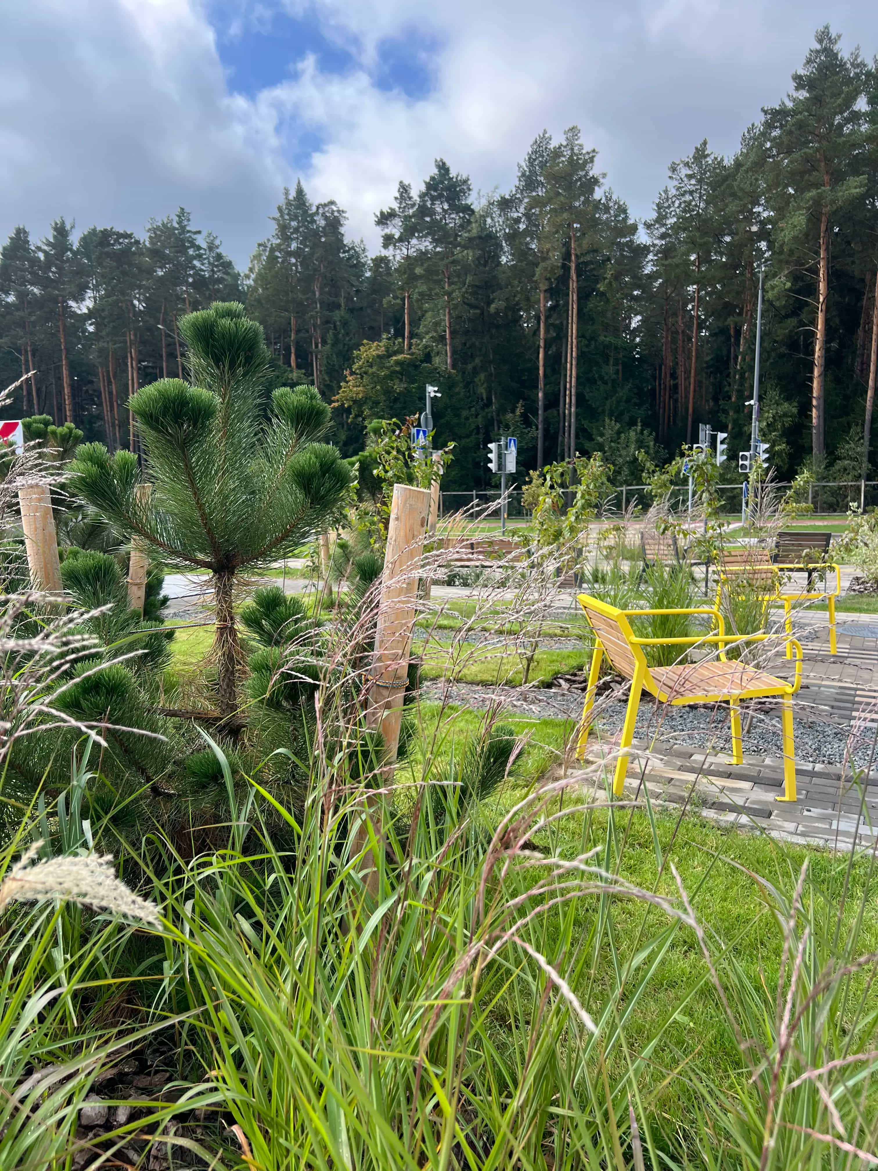 Беларусь, Минский район, Боровлянский сельсовет, деревня Копище, улица Михаила Миля, 13, фото 31