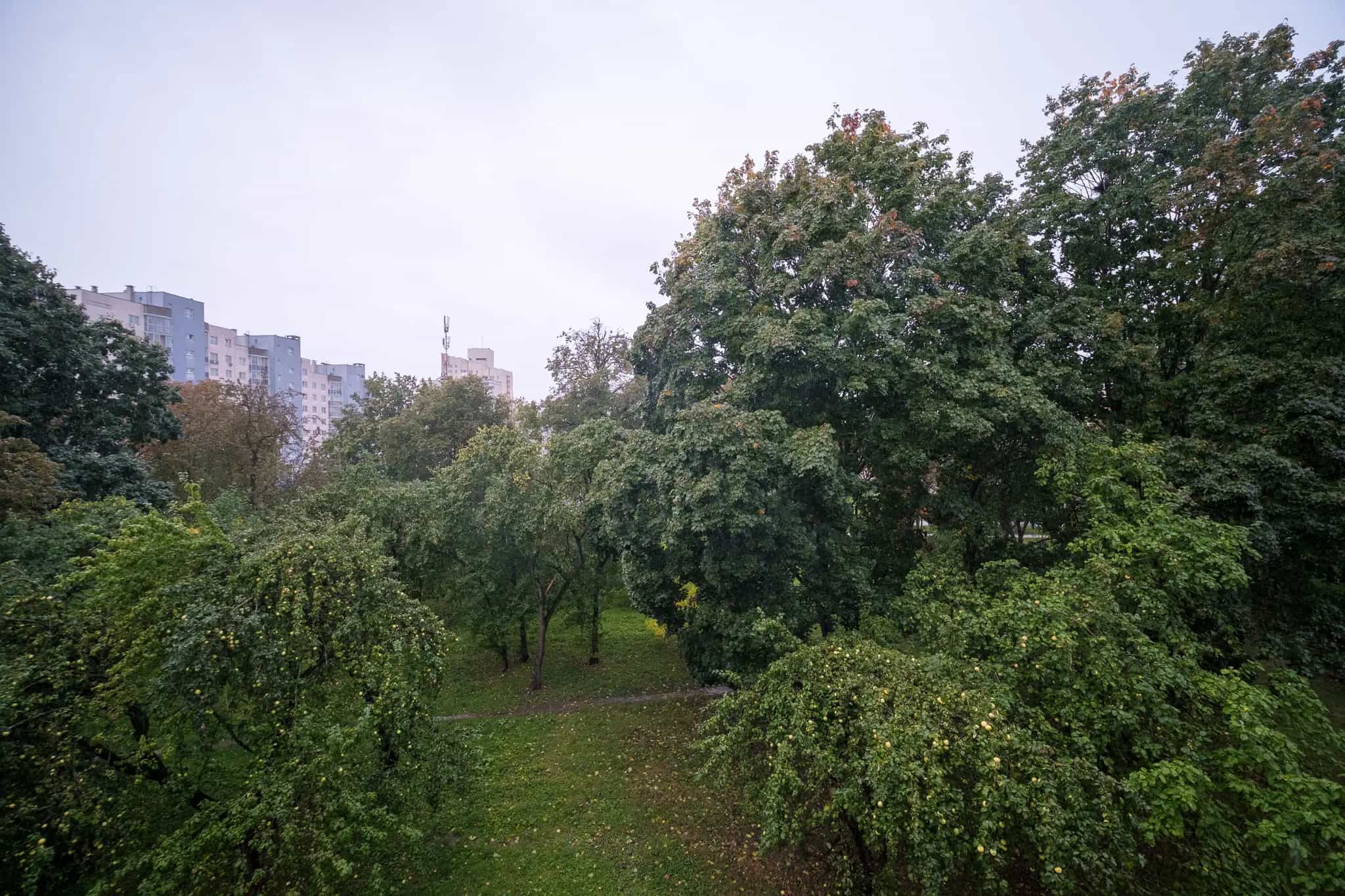 Беларусь, Минск, улица Воронянского, 5к1, фото 16