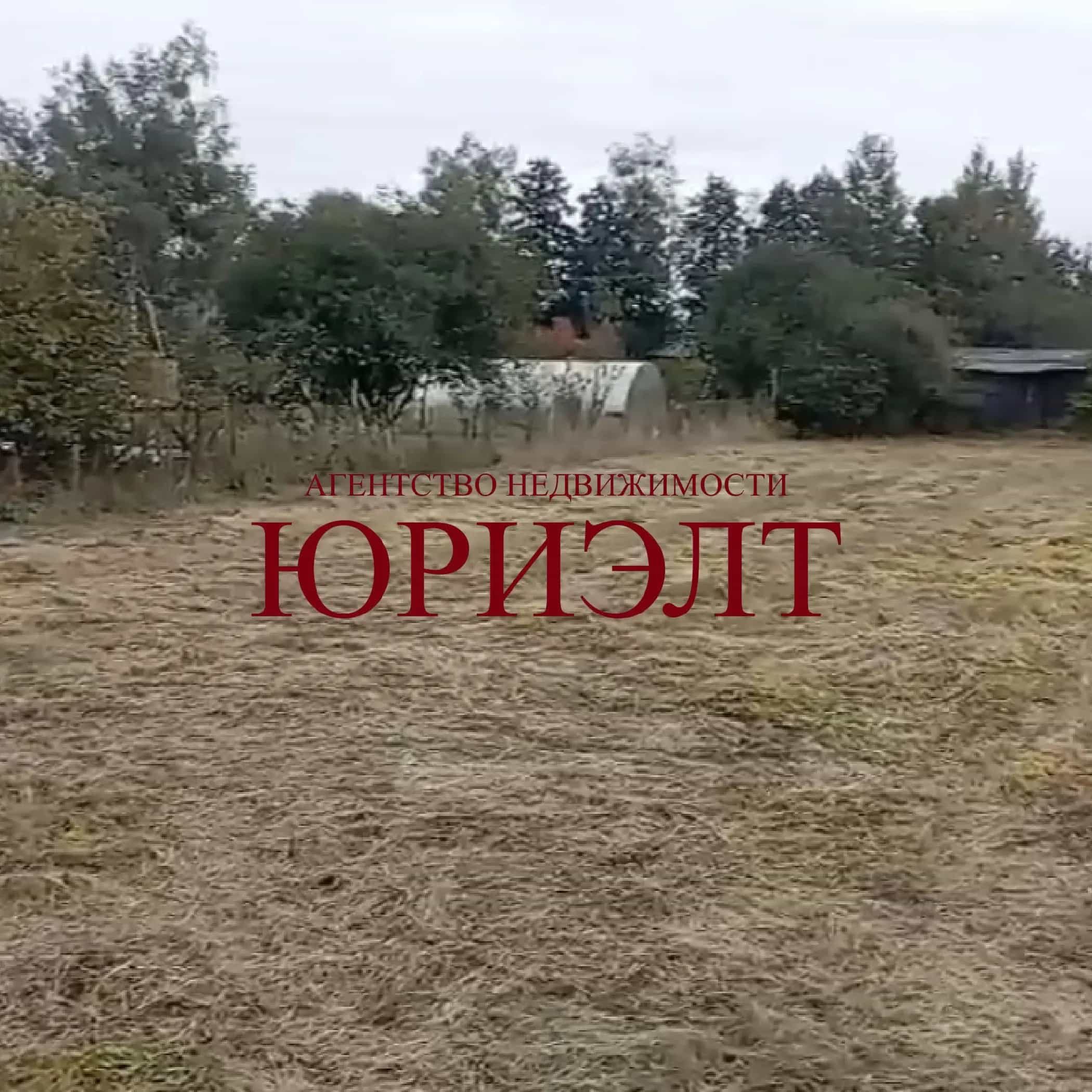 Беларусь, Гомельский район, Приборский сельсовет, садоводческое товарищество Устинка, 42
