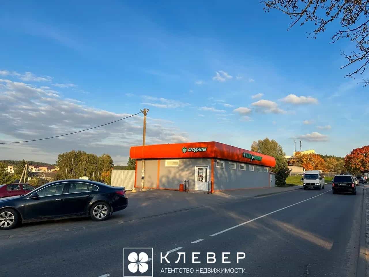 Беларусь, Минский район, Ждановичский сельсовет, агрогородок Ратомка, Полевая улица, 45, фото 17