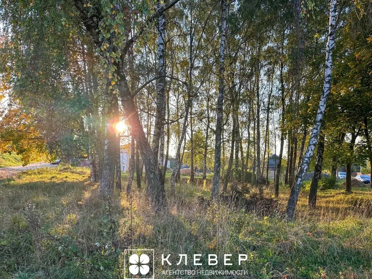Беларусь, Минский район, Ждановичский сельсовет, агрогородок Ратомка, Полевая улица, 45, фото 23