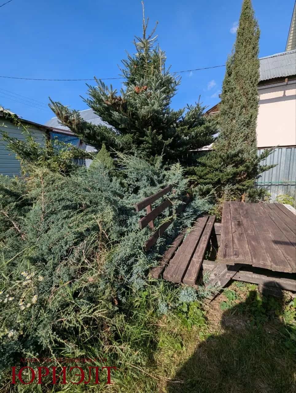 Беларусь, Гомель, Брянская улица, 113, фото 16
