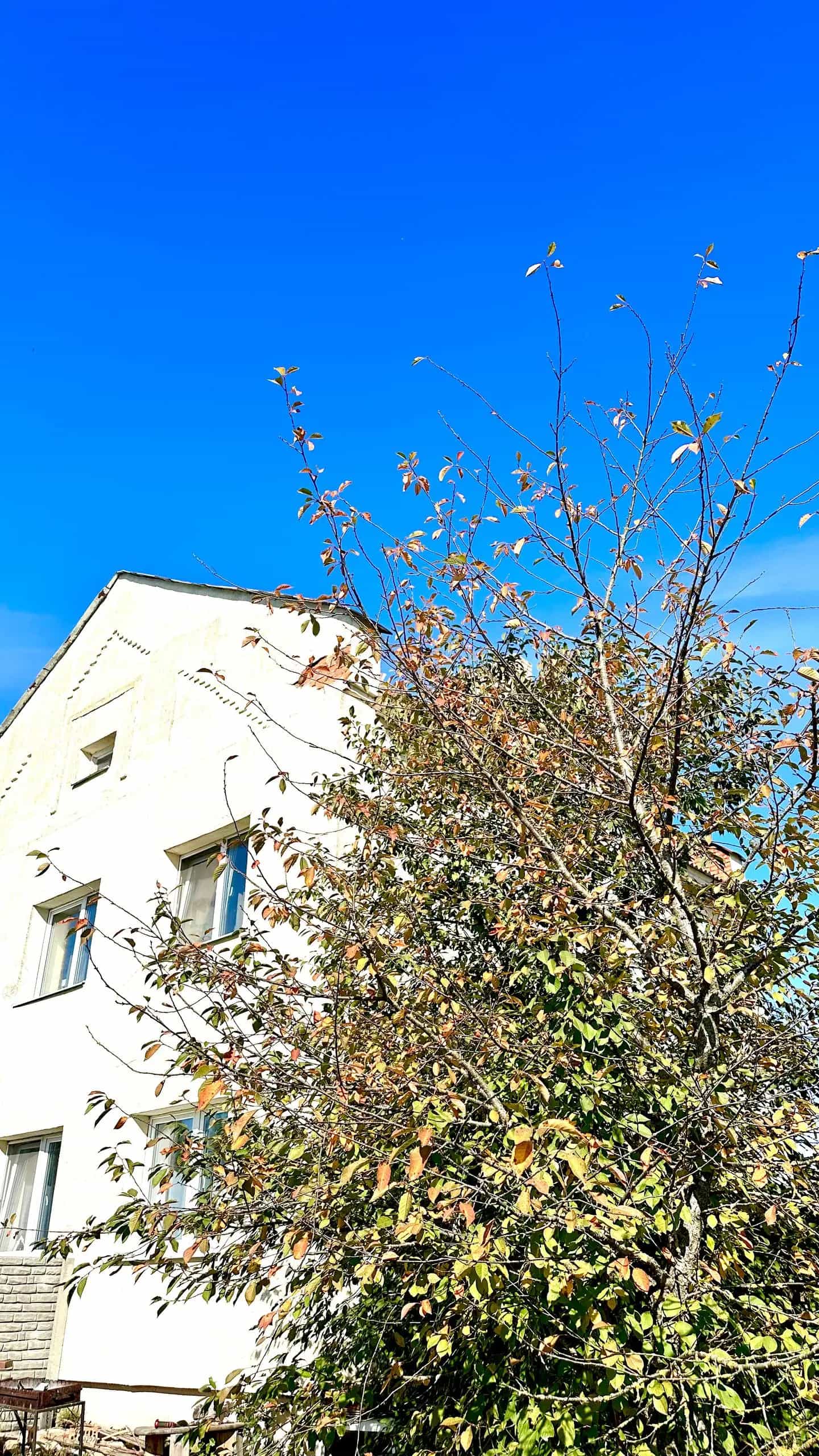 Беларусь, Минский район, агрогородок Михановичи, Лошицкая улица, 2, фото 22