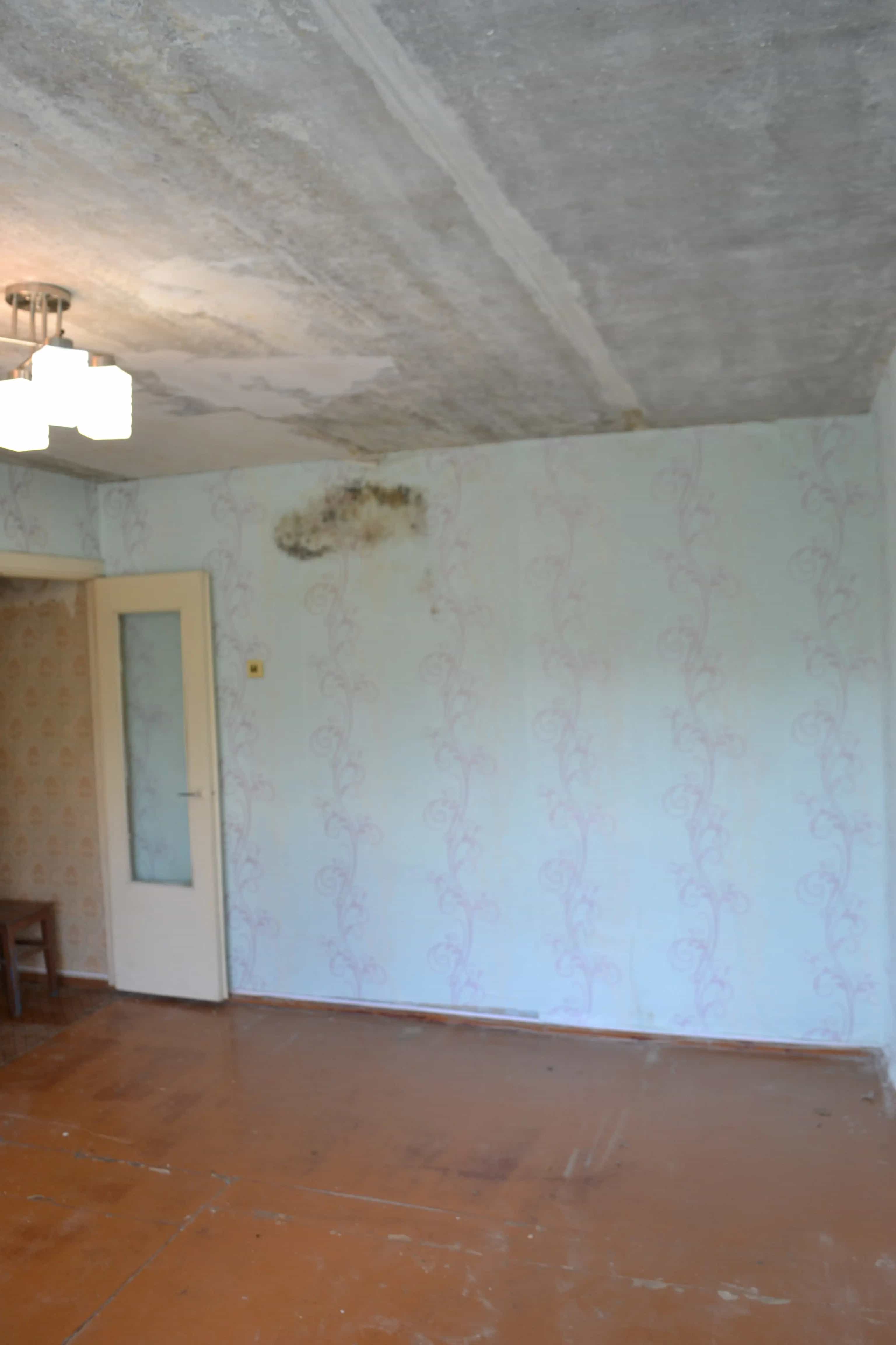 Беларусь, Гомельская область, Буда-Кошелёвский район, агрогородок Коммунар, Гомельская улица, 3, фото 9