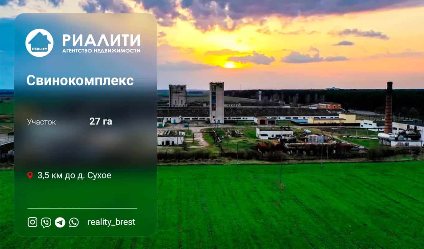 Беларусь, Брестская область, Ивановский район, Рудский сельсовет, деревня Сухое, Центральная улица, 6