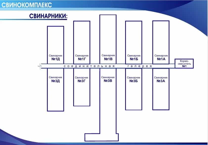 Беларусь, Брестская область, Ивановский район, Рудский сельсовет, деревня Сухое, Центральная улица, 6, фото 2