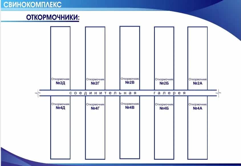 Беларусь, Брестская область, Ивановский район, Рудский сельсовет, деревня Сухое, Центральная улица, 6, фото 3
