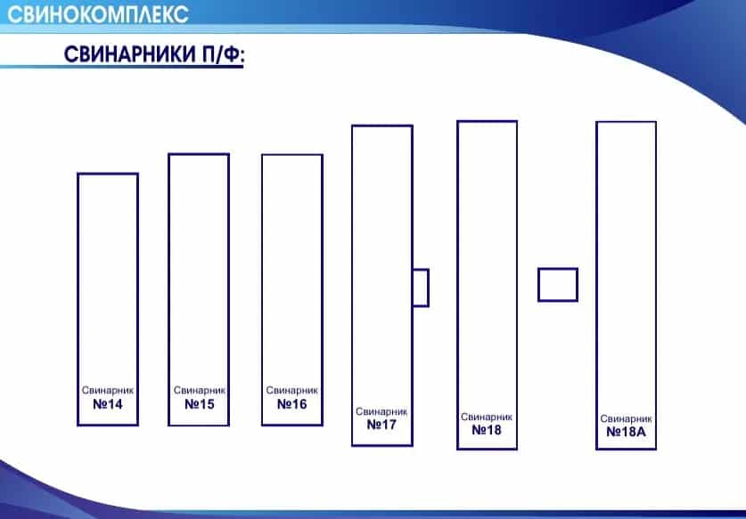 Беларусь, Брестская область, Ивановский район, Рудский сельсовет, деревня Сухое, Центральная улица, 6, фото 5