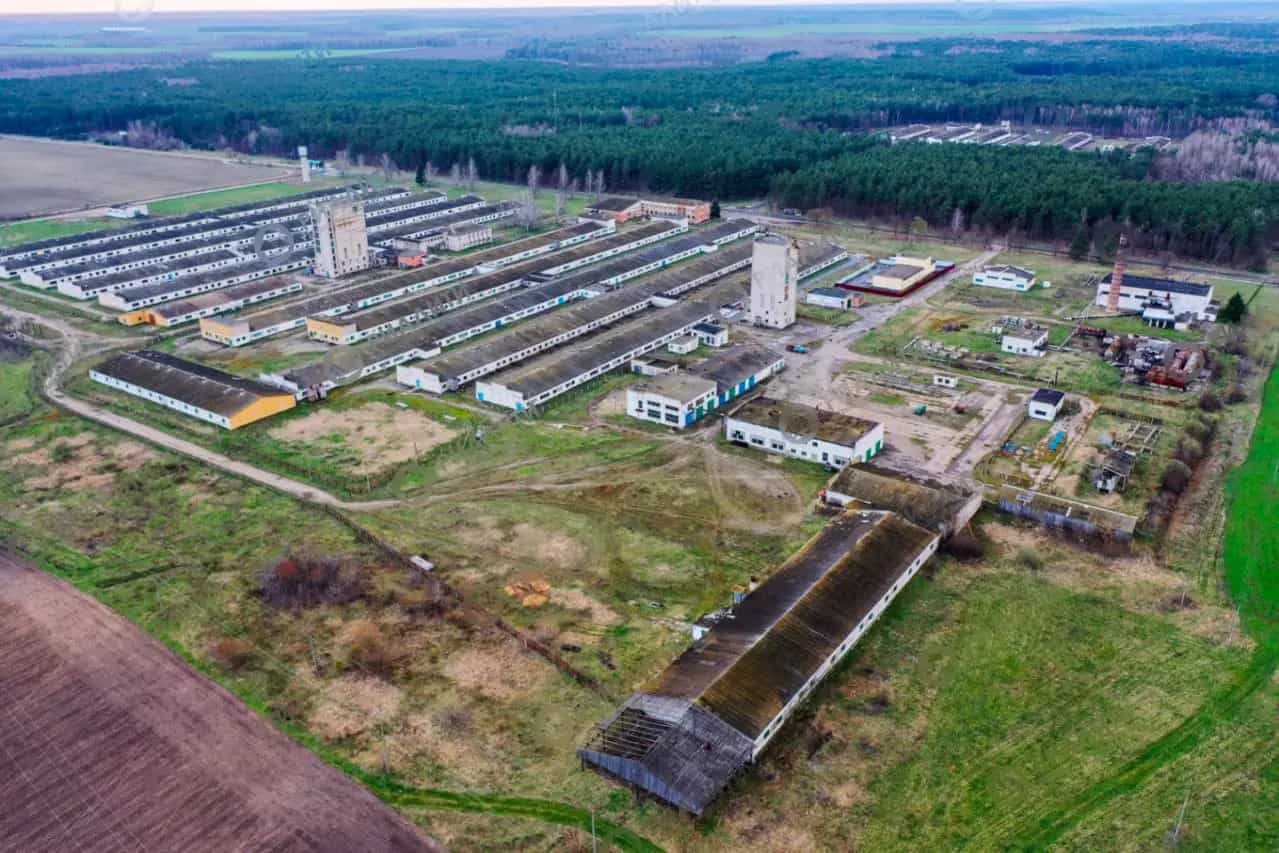 Беларусь, Брестская область, Ивановский район, Рудский сельсовет, деревня Сухое, Центральная улица, 6, фото 11