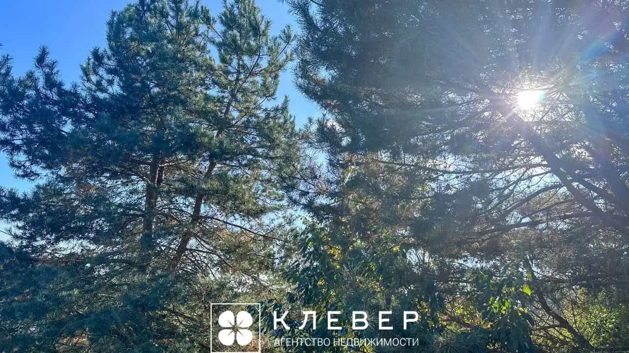 Беларусь, Минская область, Смолевичский район, Озерицко-Слободской сельсовет, садоводческое товарищество Усяжа, 68, фото 22