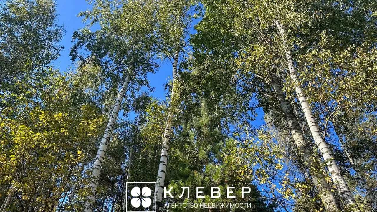 Беларусь, Минская область, Смолевичский район, Озерицко-Слободской сельсовет, садоводческое товарищество Усяжа, 68, фото 25