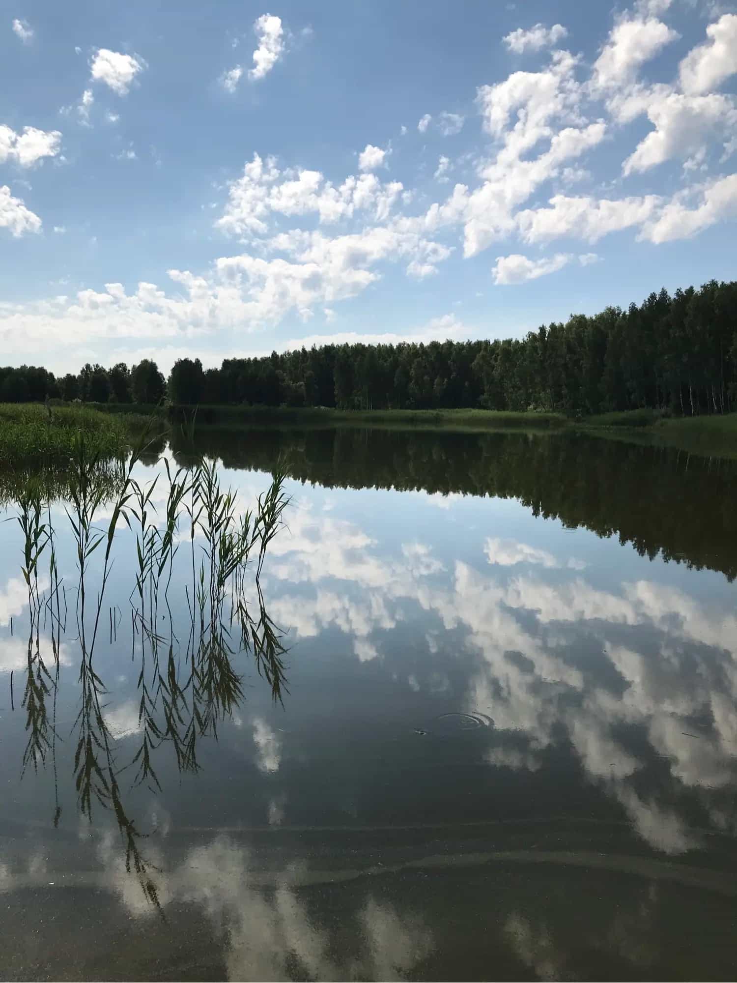 Беларусь, Минская область, Копыльский район, Бучатинский сельсовет, деревня Ракини, Лесная улица, 47, фото 5