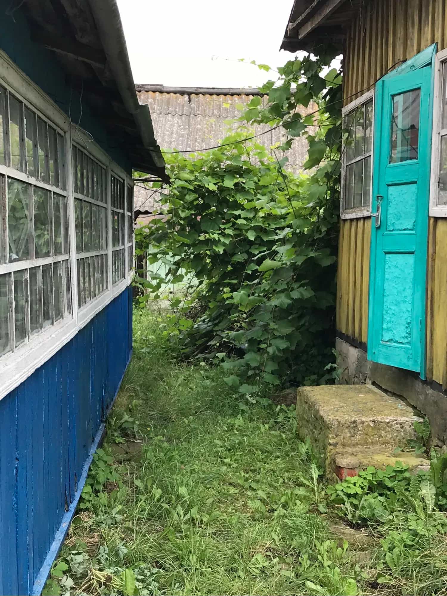 Беларусь, Минская область, Копыльский район, Бучатинский сельсовет, деревня Ракини, Лесная улица, 47, фото 7