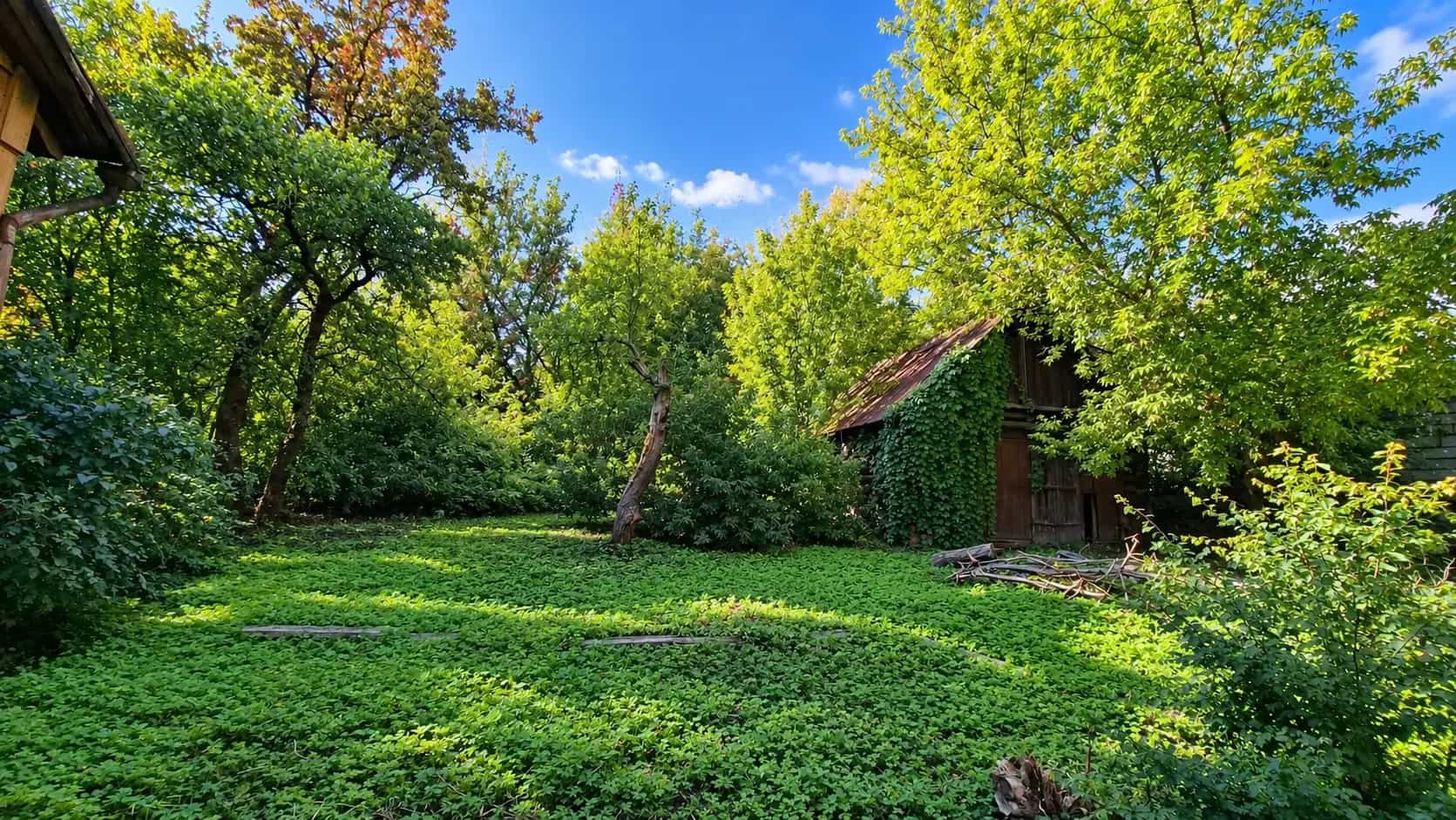 Беларусь, Минск, Белорусская улица, 14, фото 3