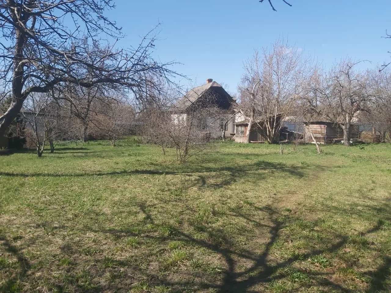 Беларусь, Гомельская область, Добруш, Первомайская улица, 41, фото 7