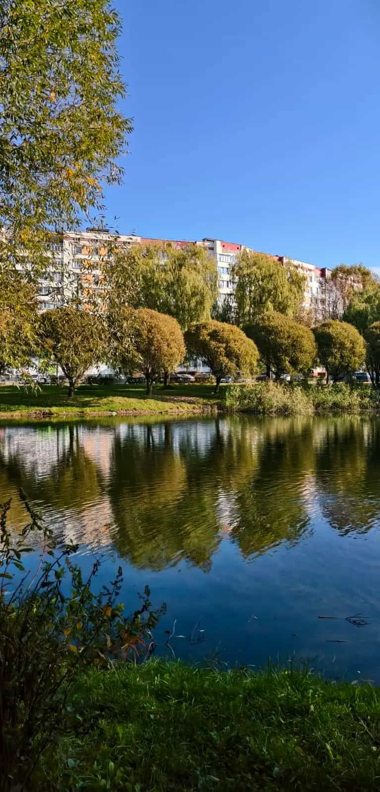 Беларусь, Гомель, улица 40 лет БССР, 38, фото 13