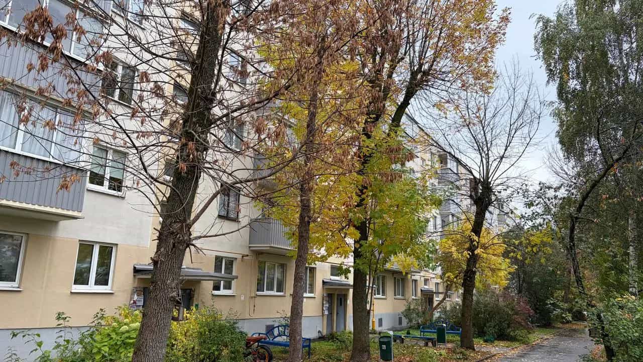 Беларусь, Минск, улица Лили Карастояновой, 35, фото 2