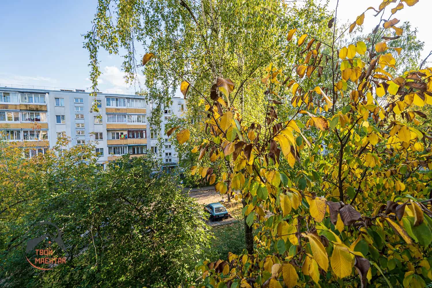 Беларусь, Минск, улица Плеханова, 38А, фото 29