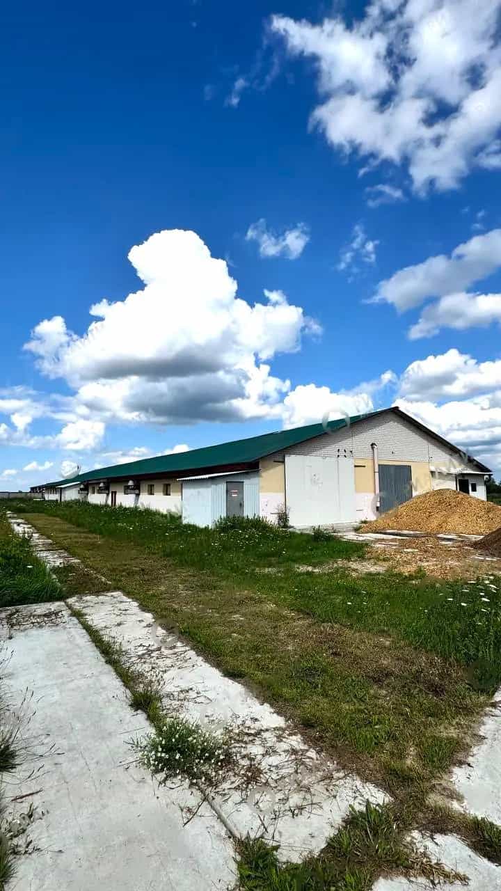 Беларусь, Брестский район, агрогородок Знаменка, Центральная улица, 33, фото 3