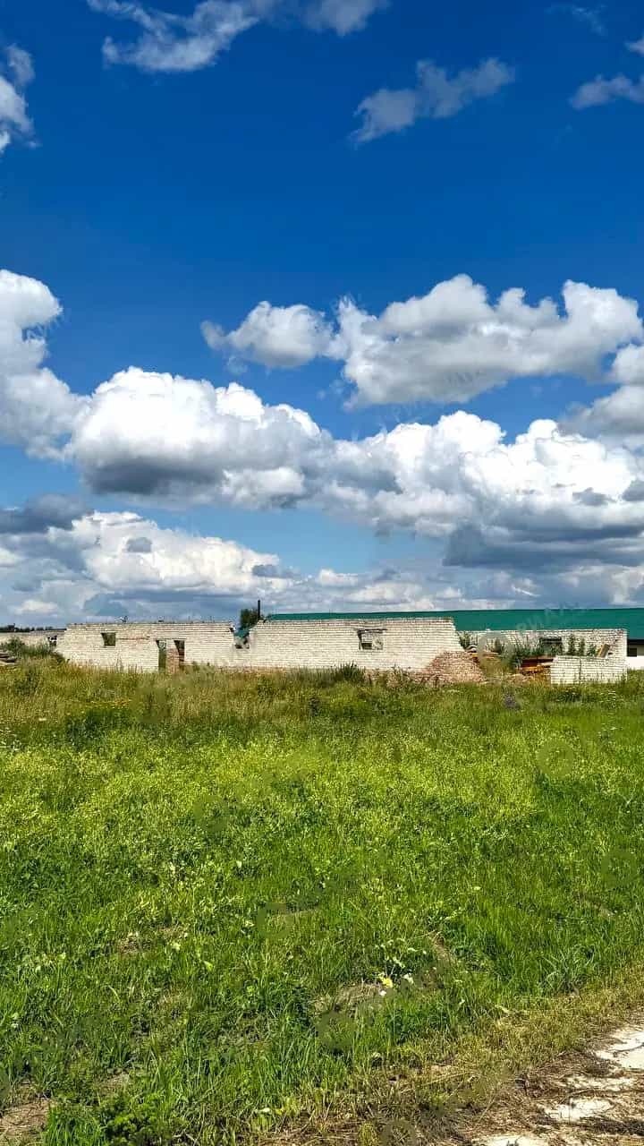 Беларусь, Брестский район, агрогородок Знаменка, Центральная улица, 33, фото 5