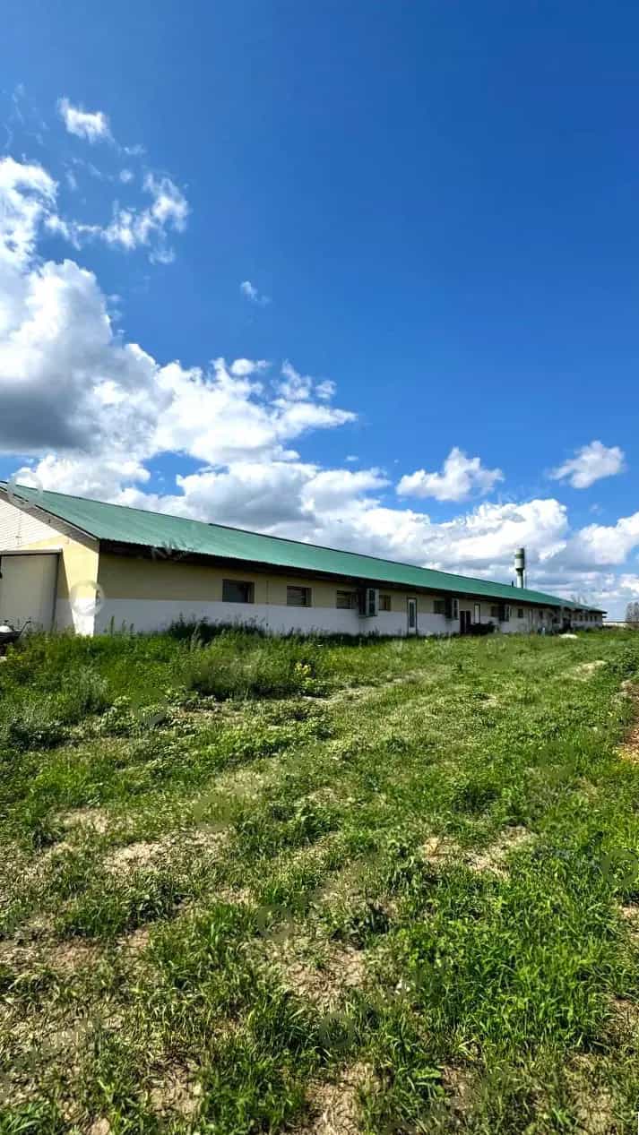 Беларусь, Брестский район, агрогородок Знаменка, Центральная улица, 33, фото 9