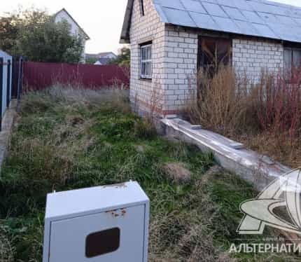 Беларусь, Брестский район, Мухавецкий сельсовет, СТ Автомобилист-80, 58, фото 6