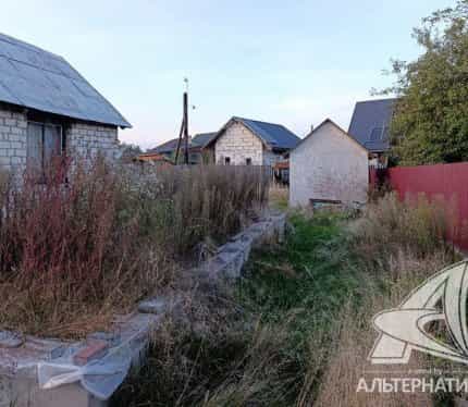 Беларусь, Брестский район, Мухавецкий сельсовет, СТ Автомобилист-80, 58, фото 7