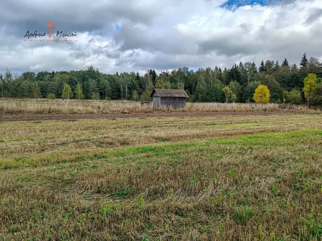Беларусь, Минская область, Слуцкий район, Первомайский сельсовет, деревня Гольчичи, улица Нива, 15, фото 25