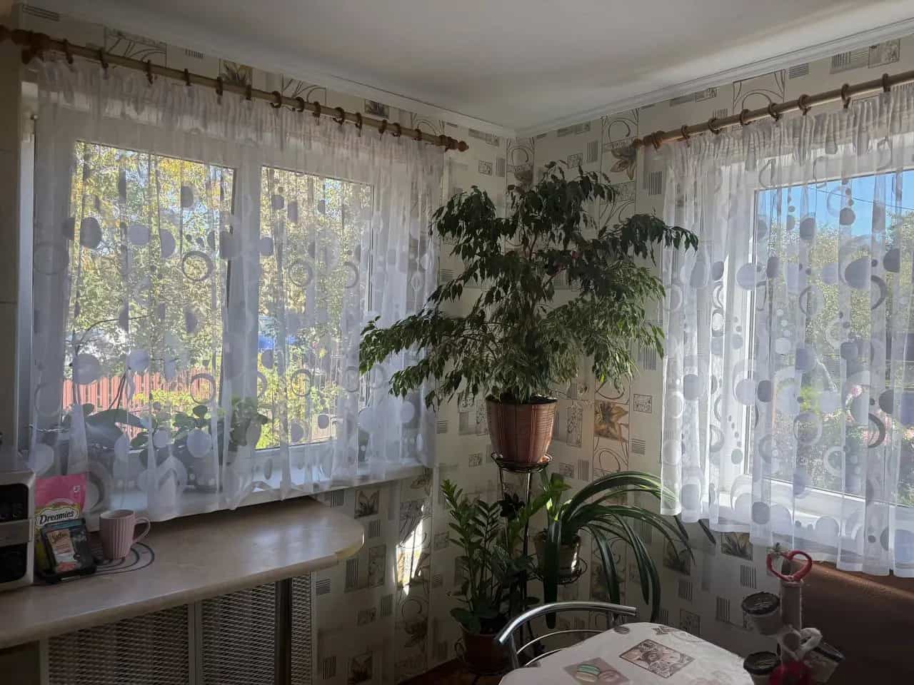 Беларусь, Брест, Кобринская улица, 31, фото 5