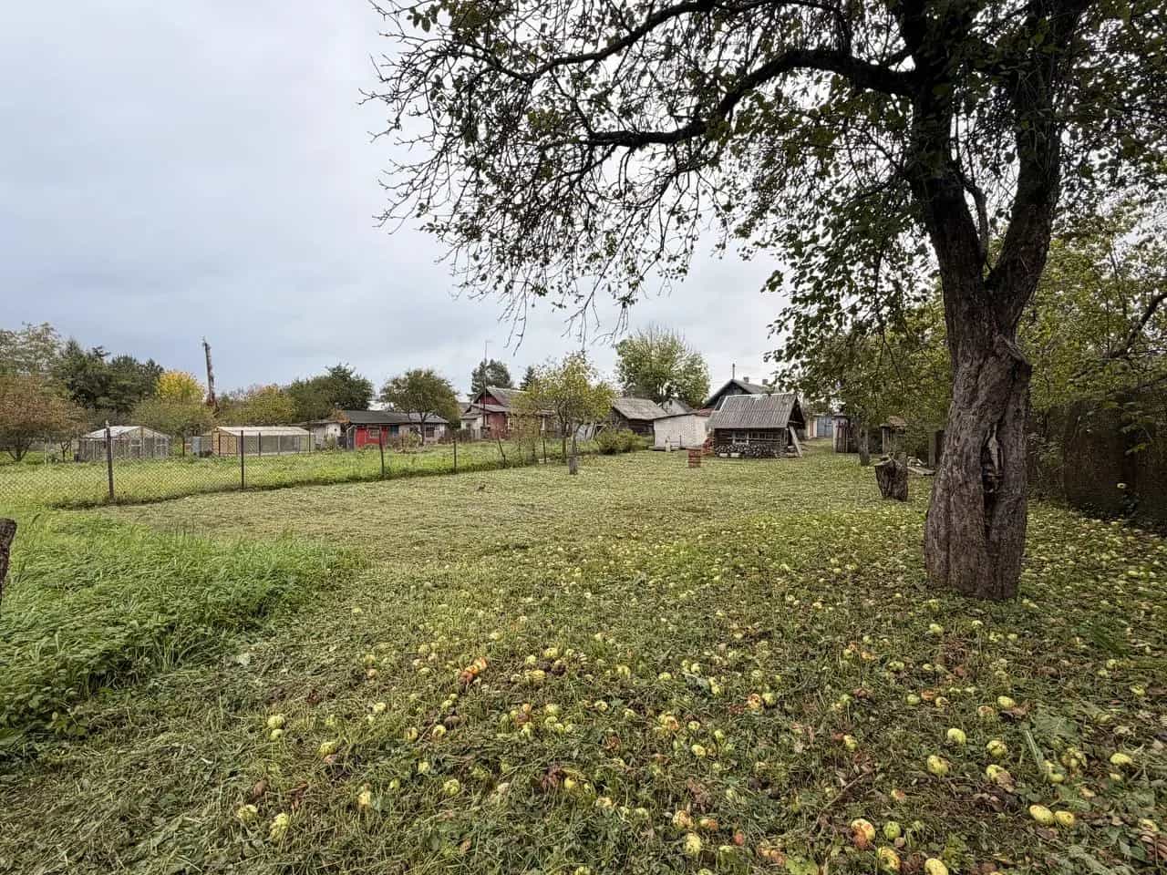 Беларусь, Минский район, Острошицко-Городокский сельсовет, агрогородок Острошицкий Городок, Ленинская улица, 87, фото 9