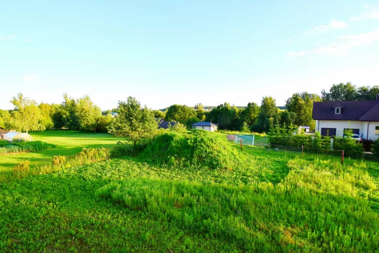Беларусь, Минский район, Горанский сельсовет, деревня Байдаки, 6А, фото 13
