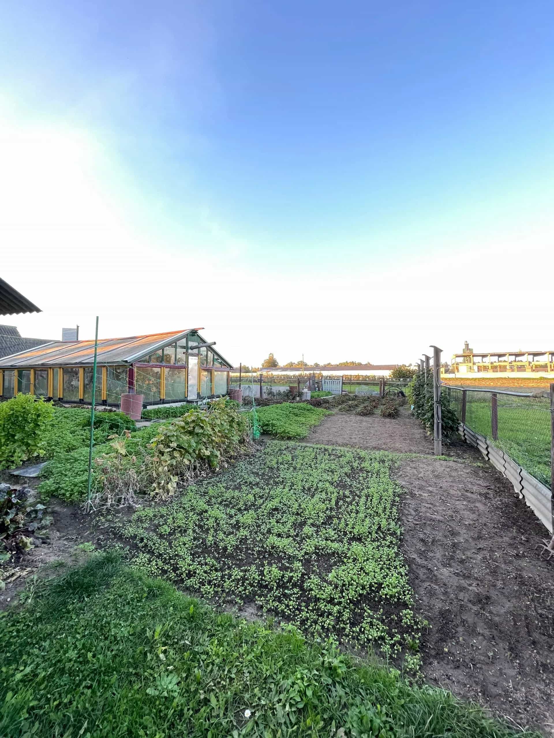Беларусь, Минская область, Клецкий район, Морочский сельсовет, агрогородок Морочь, улица 17 Сентября, 29А, фото 46