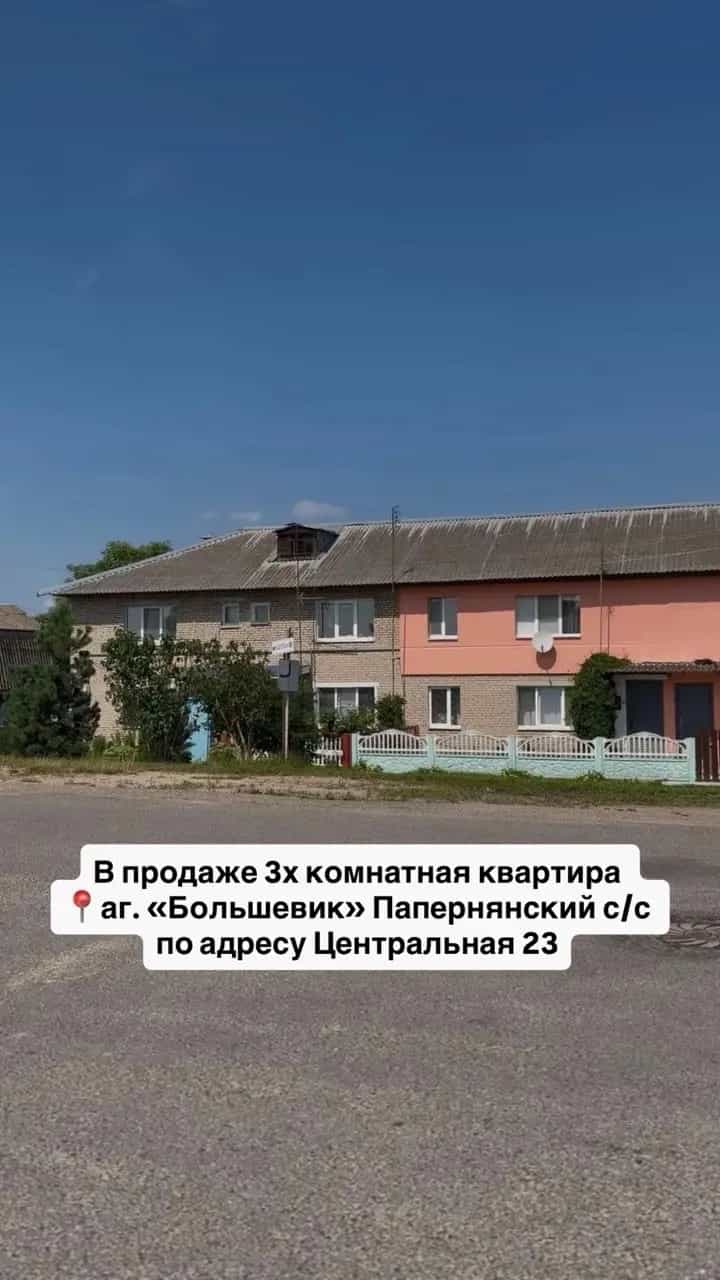 Беларусь, Минский район, Папернянский сельсовет, агрогородок Большевик, Центральная улица, 23