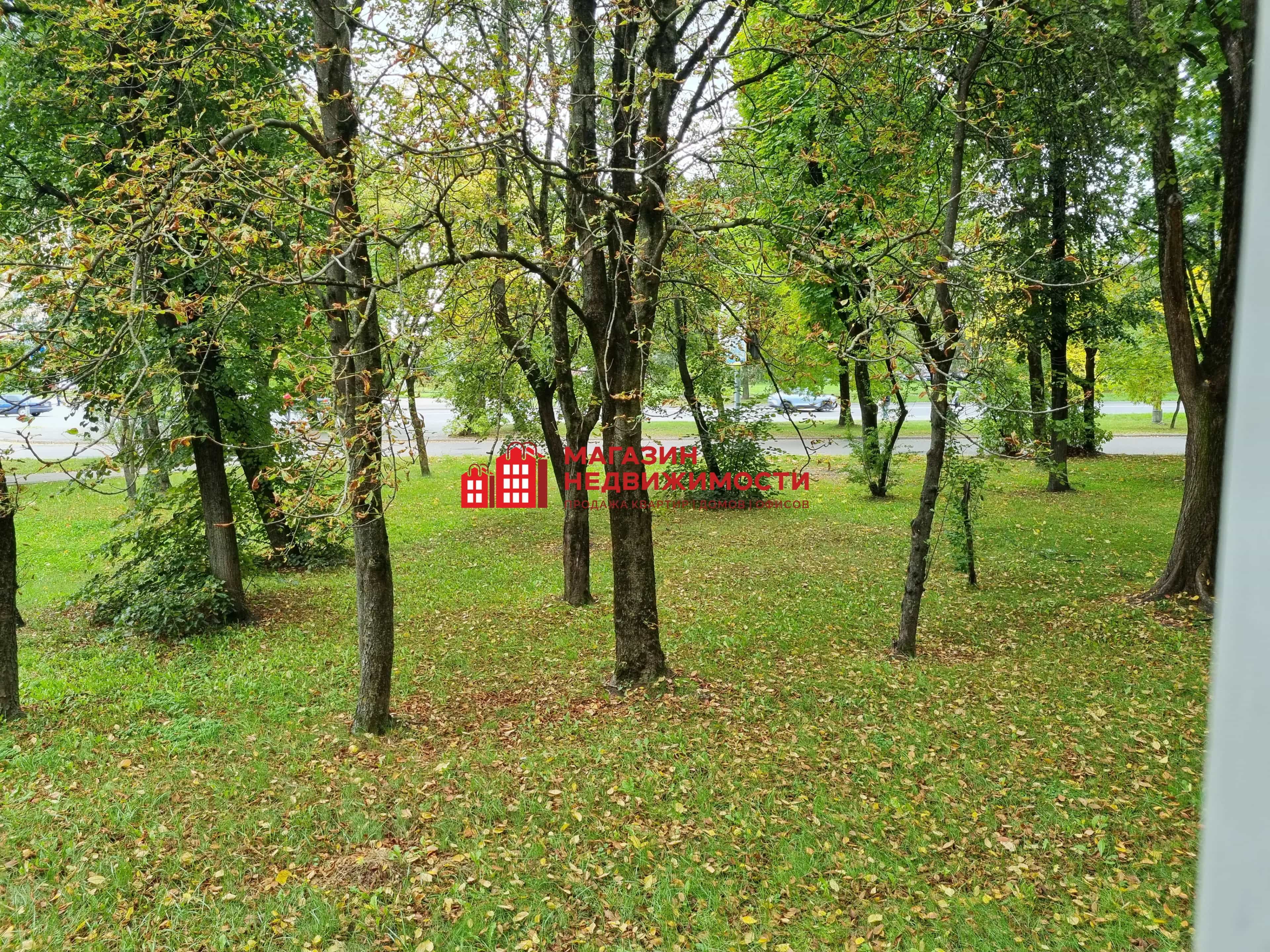 Беларусь, Гродно, улица Лизы Чайкиной, 45, фото 4