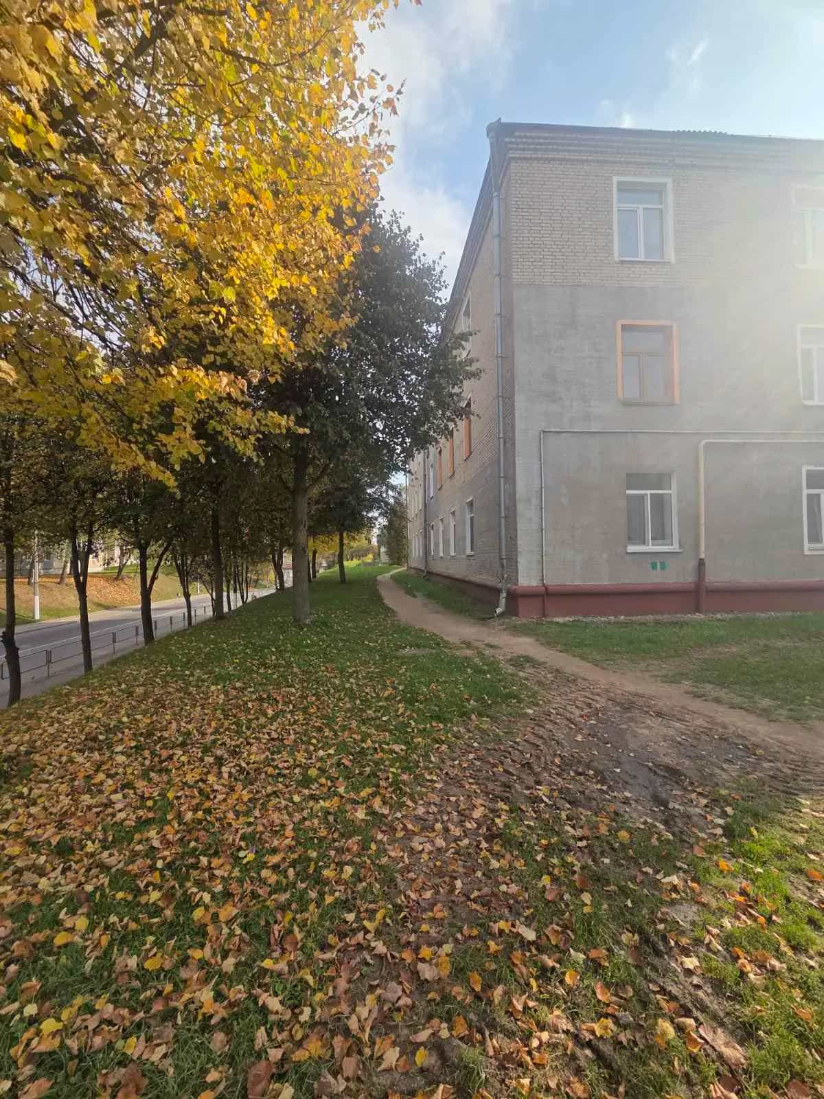 Беларусь, Витебская область, Орша, улица Мира, 28, фото 3