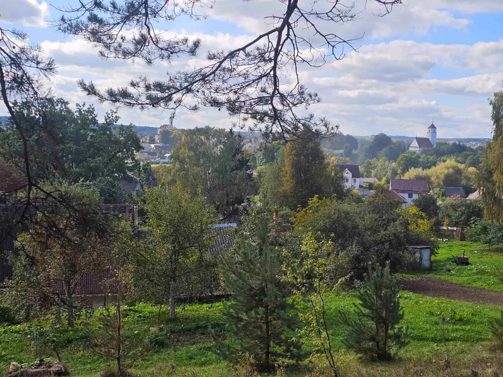 Беларусь, Минский район, Заславль, Вилейская улица, 11, фото 8