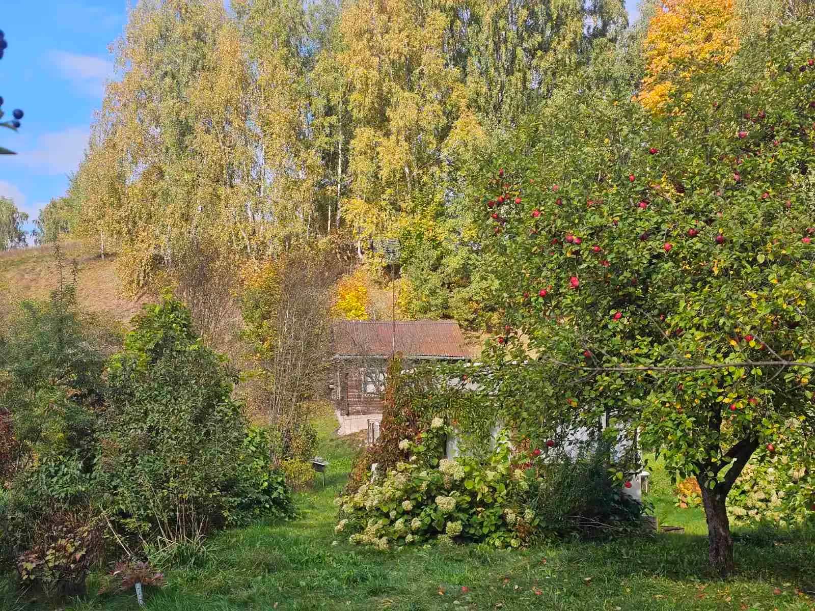 Беларусь, Минский район, Заславль, Вилейская улица, 11, фото 10