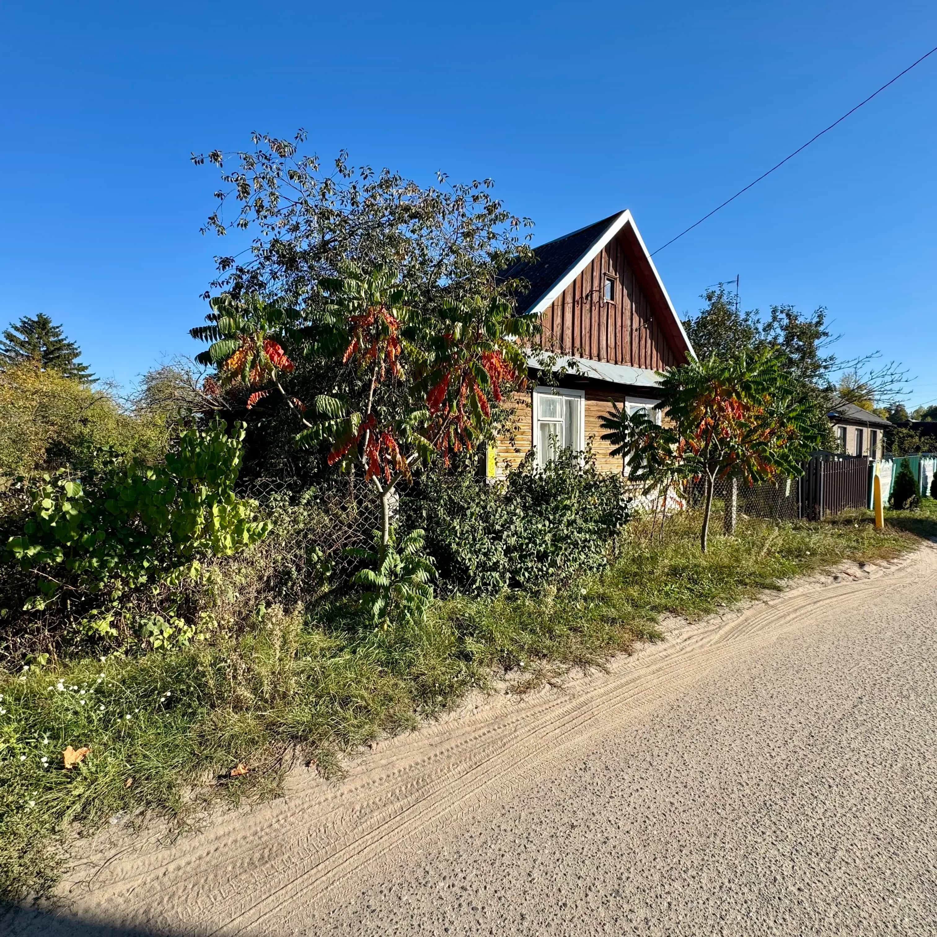 Беларусь, Брестская область, Дрогичинский район, городской посёлок Антополь, Революционная улица, 5, фото 2